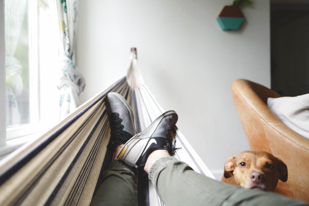 laying in a hammock